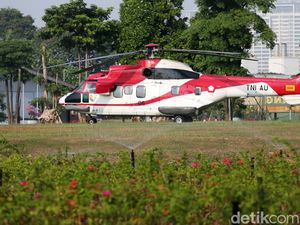 Warga Muna Tertimpa Pohon Imbas Empasan Heli Jokowi, Istana Tanggung Perawatan