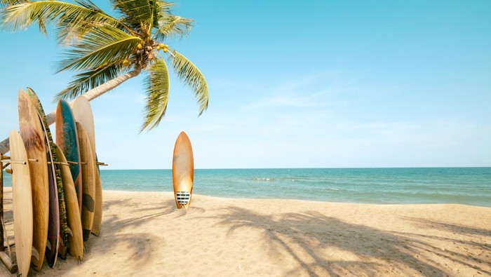 Ilustrasi surfing