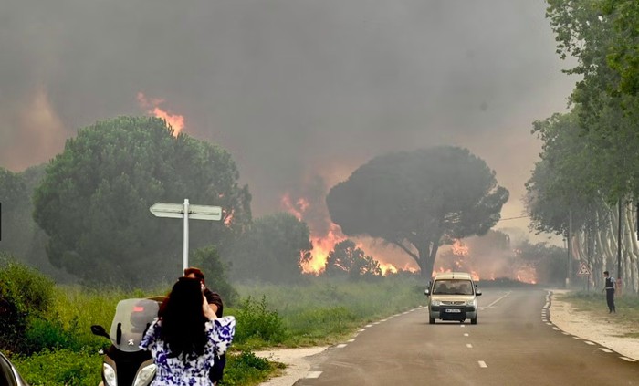 Kebakaran hutan di selatan Prancis