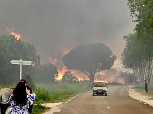 Prancis Kebakaran! 3.000 Turis Dievakuasi