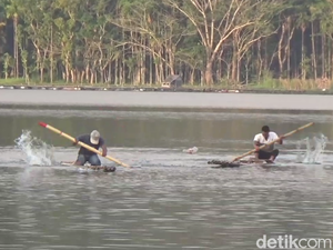 Mengintip Keseruan Lomba Dayung Rakit Bambu di Ranu Klakah Lumajang