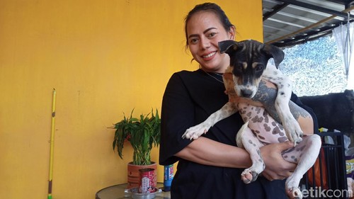 Konten kreator asal Tabanan, Bali menurunkan bendera Merah Putih.