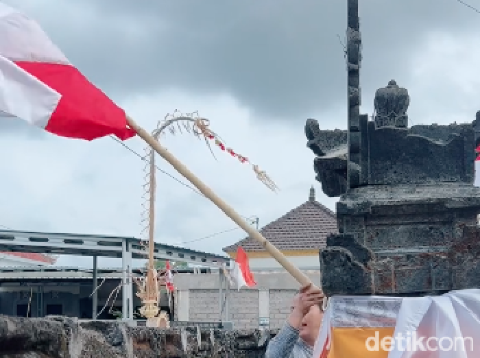 Konten kreator asal Tabanan, Bali menurunkan bendera Merah Putih.