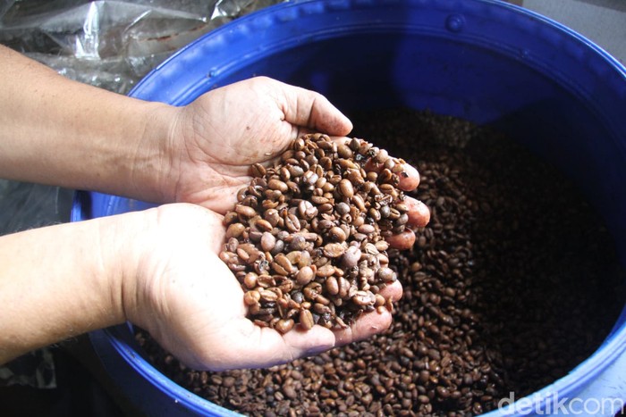 Kopi excelsa baceman madu di Jombang