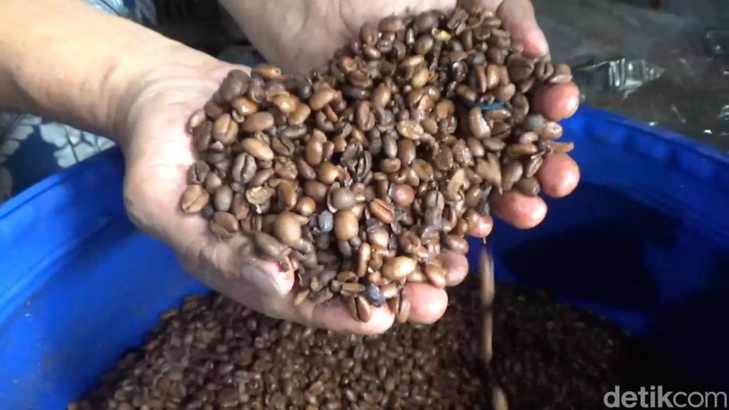 Kopi excelsa baceman madu di Jombang