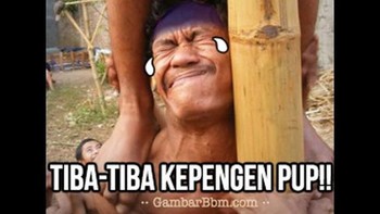 Mules! Foto: Istimewa