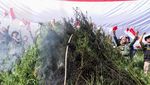 21 Ribu Batang Ganja Dibakar di Aceh
