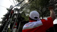 Para teknisi Telkom menemukan ada sejumlah operator utilitas lain yang menggantungkan atau menumpang kabel serat optik di tiang milik Telkom. Memang kondisi kabel dari operator lain yang menumpang tiang Telkom ini merupakan tindakan ilegal, akan tetapi tak seluruh jaringan operator memiliki tiang sendiri.