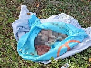 Mayat Bayi Diduga Hasil Hubungan Gelap Dibuang di Pinggir Jalan