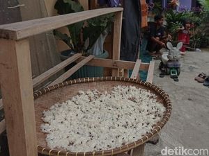 7 Fakta Kampung di Tasikmalaya Diserbu Lalat dan Udara Berdebu