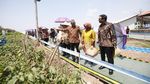 Pusat Riset Pertanian Terbesar Kedua Asia Tenggara Ada di Klaten