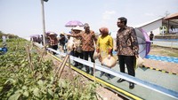 Berluas 9 hektar, Bayer JUARA menjadi pusat riset dan pertanian pertama dan terbesar milik Bayer di Indonesia.