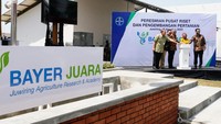 (ki-ka) Kepala Dinas Pertanian dan Perkebunan Provinsi Jawa Tengah, Supriyanto; Bayer Head of Field Solutions South East Asia & Pakistan, Kukuh Ambar Waluyo; Head of Field Solutions Bayer Regional Asia Pacific, Srinath Bala; Deputi Bidang Koordinasi Pangan dan Agribisnis, Kementerian Koordinator Bidang Perekonomian, Musdhalifah Machmud; dan Presiden Direktur Bayer Indonesia, Kinshuk Kunwar, secara simbolis meresmikan Bayer JUARA (Juwiring Agriculture Research and Academy) di Juwiring, Klaten, Jawa Tengah (15/8/2023). 