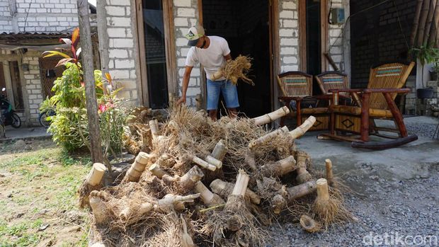 Sampah akar bambu jadi hiasan estetik di Mojokerto