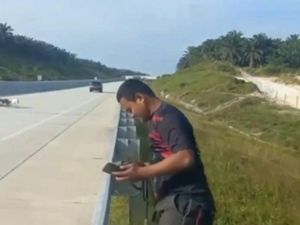 Heboh 20 Anjing Berburu Kepung Babi di Tol Pekanbaru-Bangkinang