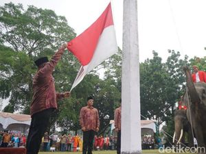 3 Gajah Sumatera Sukses Kibarkan Merah Putih di Pekanbaru