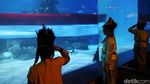 HUT RI, Bendera Sepanjang 25 Meter Dikibarkan di Aquarium Raksasa