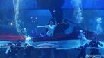 HUT RI, Bendera Sepanjang 25 Meter Dikibarkan di Aquarium Raksasa