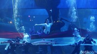 Selain pengibaran bendera, Jakarta Aquarium Safari juga mengadakan lomba tarik tambang di dalam air.