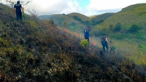 Upaya pemadaman kebakaran di lahan kering kawasan bukit teletubies, Desa Sekartaji Nusa Penida, Klungkung, Kamis (17/8/2023).