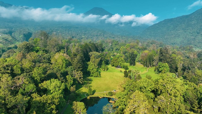 Kebun Raya