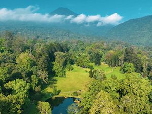 Ini Alasan Kebun Raya di Indonesia Perlu Ditambah