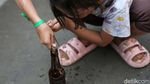 Lomba Joget Bola hingga Tangkap Belut Meriahkan HUT RI