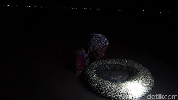 Nek Sarah ketika mencari kerang. (Goklas Wisely/detikSumut)