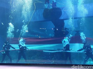 Jakarta Aquarium Kibarkan Bendera Terpanjang Dalam Kolam Indoor di RI