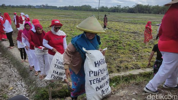 Petani Malang tetap memupuk nasionalisme dengan upacara di tengah sawah meski prihatin harga pupuk mahal.