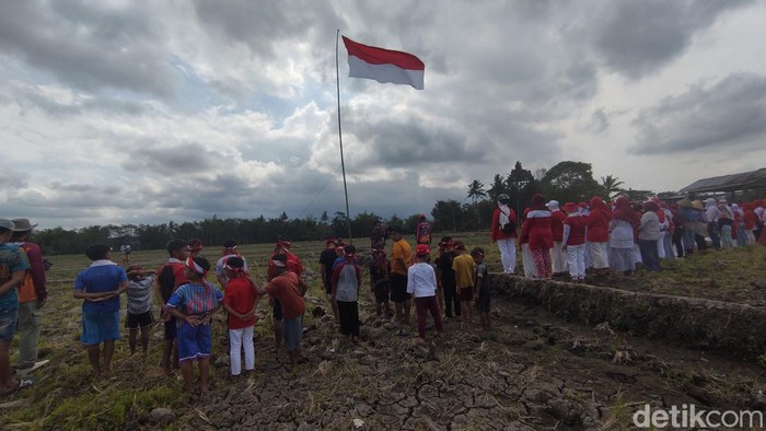 Petani Malang tetap memupuk nasionalisme dengan upacara di tengah sawah meski prihatin harga pupuk mahal.