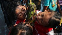 Salah satu lomba yang dipertandingkan adalah mengambil koin di buah pepaya. Koin yang menancap itu diambil dengan cara digigit.  