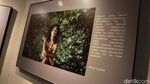 Cerita Para Musisi Soal HIV/AIDS dalam Bingkai Foto