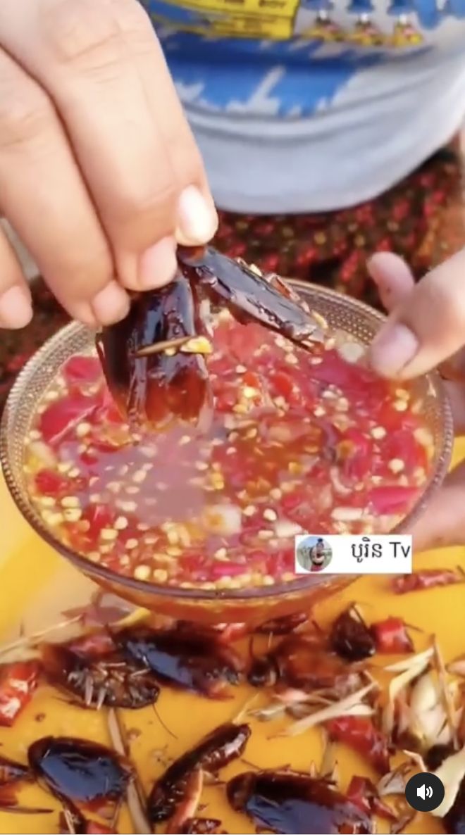 Geli! Wanita Ini Makan Kecoak Goreng Dicelup Sambal