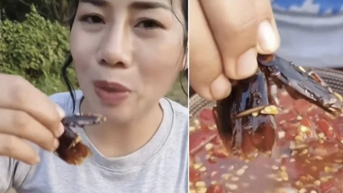 Geli! Wanita Ini Makan Kecoak Goreng Dicelup Sambal