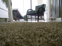 Cara Merawat Karpet agar Tidak Bau Apek