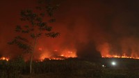 Menurutnya, kebakaran terjadi sejak Kamis sore hingga saat ini masih dalam upaya pemadaman oleh tim gabungan darat dan udara.  