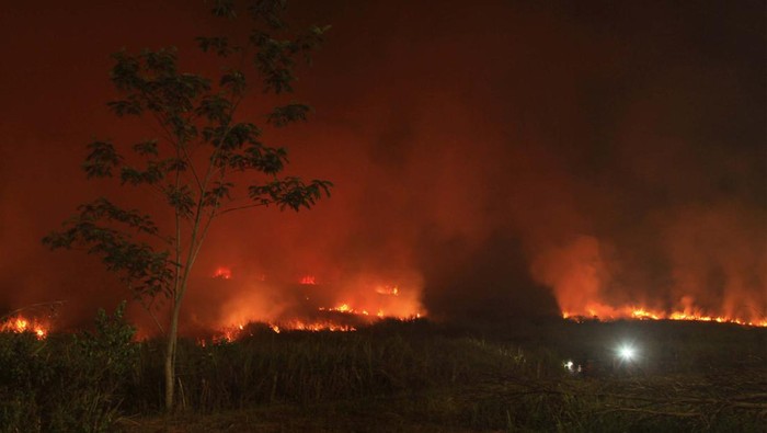 Kebakaran Lahan Dekati Tol Palembang-Indralaya Firefighters attempt to extinguish fire that razes through a peatland field in Ogan Ilir, South Sumatra, Indonesia, late Thursday, Aug. 17, 2023. Forest and land fires in Indonesia are an annual problem that have strained relations with neighboring countries as the smoke from the fires could blanket parts of Singapore, Malaysia and southern Thailand in a thick noxious haze. (AP Photo/Muhammad Hatta)