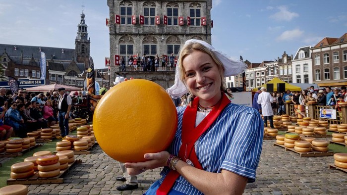 A young woman wears a traditional dress as she displays a loaf of Gouda cheese at the cheese market in Gouda, Netherlands, Thursday, Aug. 17, 2023. The cheese market takes place very Thursday and has a 900-year-old tradition. (AP Photo/Michael Probst)