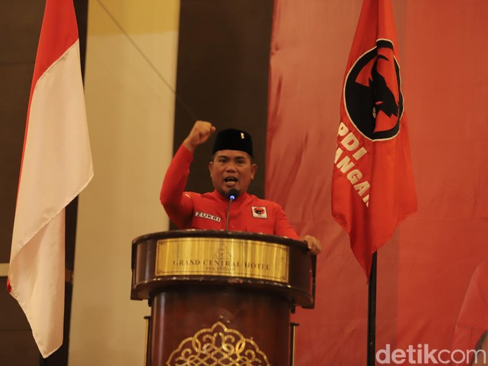 Ketua DPD PDIP Riau Zukri Misran. (Foto: Raja Adil Siregar/detikSumut).