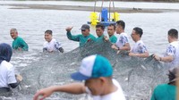 BSI dan BSI Maslahat mengajak Relawan Bakti BUMN bersama kelompok petani tambak bandeng melakukan panen ikan bandeng sebagai pengembangan komoditas ekspor di di Desa BSI Meunasah Asan.