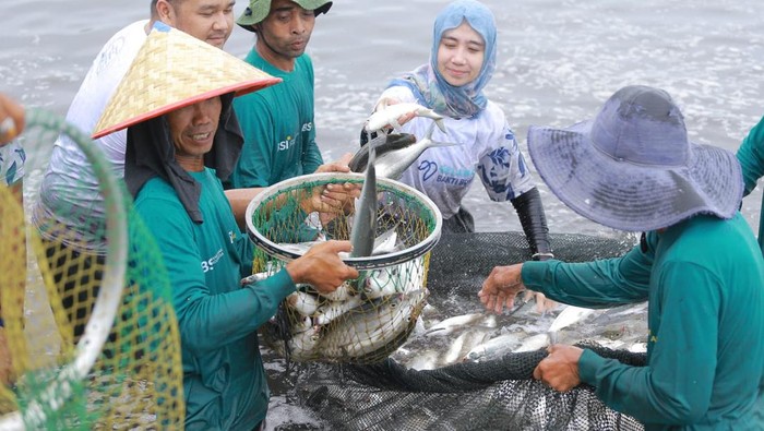 PT Bank Syariah Indonesia Tbk atau BSI berkolaborasi dengan program Bakti Badan Usaha Milik Negara (BUMN) Batch IV untuk melakukan pemberdayaan masyarakat di Desa Meunasah Asan, Kecamatan Madat, Kabupaten Aceh Timur, Aceh.