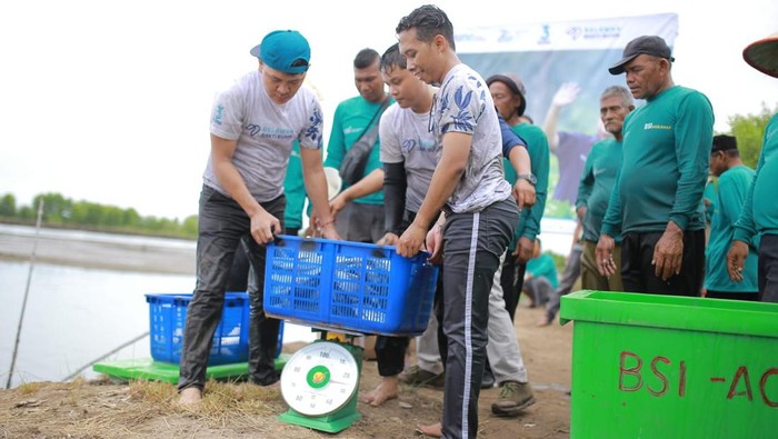 Melihat Panen Ikan Bandeng di Desa Meunasah Asan Aceh PT Bank Syariah Indonesia Tbk atau BSI berkolaborasi dengan program Bakti Badan Usaha Milik Negara (BUMN) Batch IV untuk melakukan pemberdayaan masyarakat di Desa Meunasah Asan, Kecamatan Madat, Kabupaten Aceh Timur, Aceh.