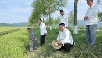 Topan Khanun yang telah lebih dulu menghantam Jepang dan Korea Selatan itu akhirnya bergerak melintasi Korut, termasuk Ibu Kota Pyongyang, pada Jumat pagi pekan lalu. Sejumlah wilayah di Korut pun terendam banjir akibat curah hujan dan angin badai yang ditimbulkan badai tropis tersebut. 