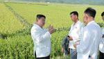 Momen Kim Jong Un Damprat Pejabat Korut Gegara Gagal Antisipasi Topan