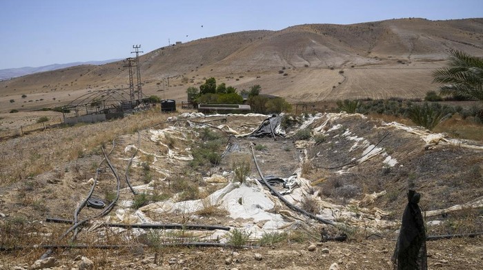 Pemukiman Israel Bak Oase Bagi Warga Palestina di Lembah Yordan A goat drinks water from an artesian well at a Palestinian farm in the village of Jiftlik in the Jordan Valley Monday, Aug.7, 2023. In the occupied West Bank, where Israeli water pipes donβt reach, Palestinians say they can't get enough water to irrigate their farms. By comparison, the neighboring Jewish settlements look like an oasis with swimming pools. (AP Photo/Mahmoud Illean)