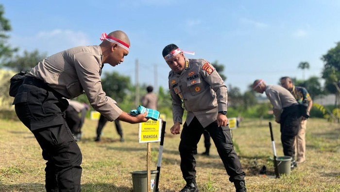 Penanaman pohon di wilayah Tambora, Jakarta Barat.