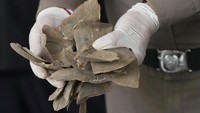 Kebutuhan yang meroket membuat sejuta trenggiling diburu dari hutan-hutan Asia dan Afrika satu dekade ini. Akibatnya, hewan pemalu ini menjadi salah satu spesies langka yang terancam punah.