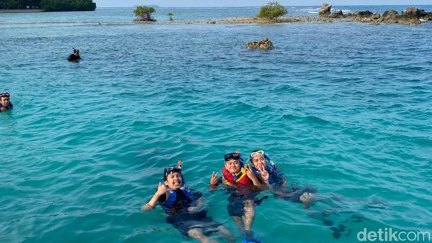 Snorkeling di Pulau Pantara