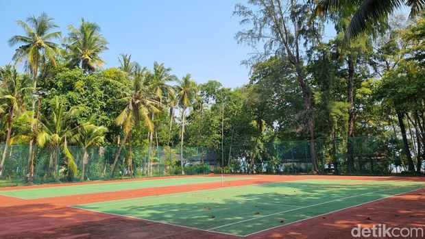 Aktivitas di Pulau Pantara
